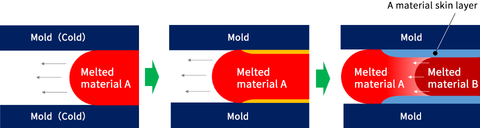 Sandwich molding