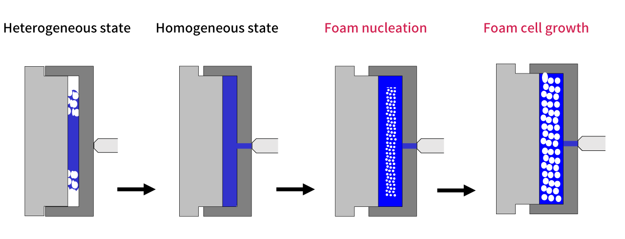 Core-back foam molding