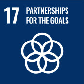 17.PARTNERSHIPS FOR THE GOALS