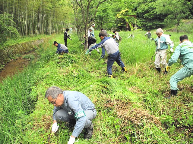 環境整備に汗を流す当社参加者ら