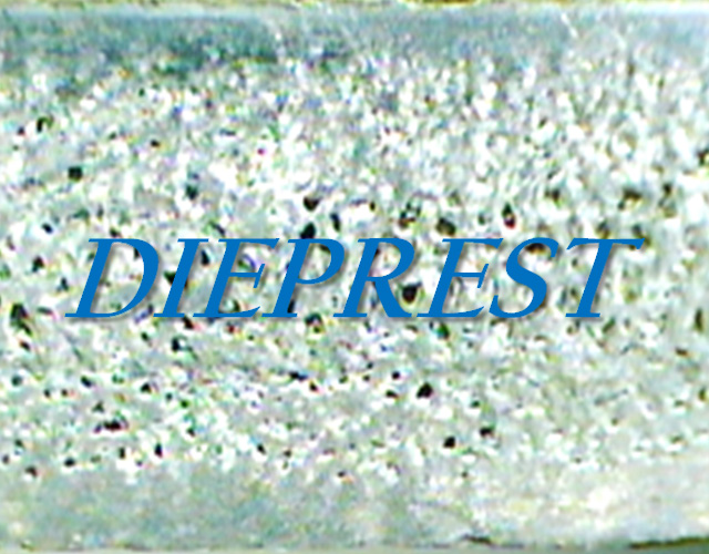 『DIEPREST』(ダイプレスト)